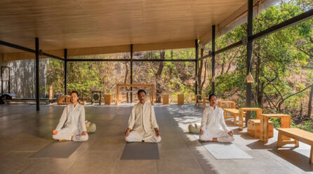 Embark Upon a Transformational Journey to Wellbeing with Dharana at Shillim